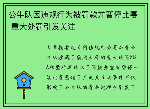 公牛队因违规行为被罚款并暂停比赛 重大处罚引发关注