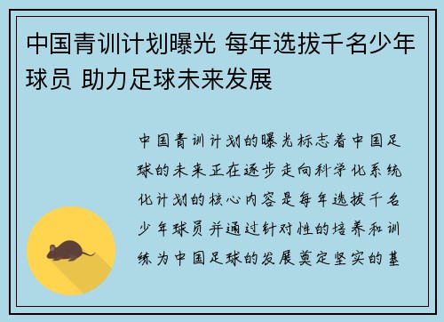 中国青训计划曝光 每年选拔千名少年球员 助力足球未来发展